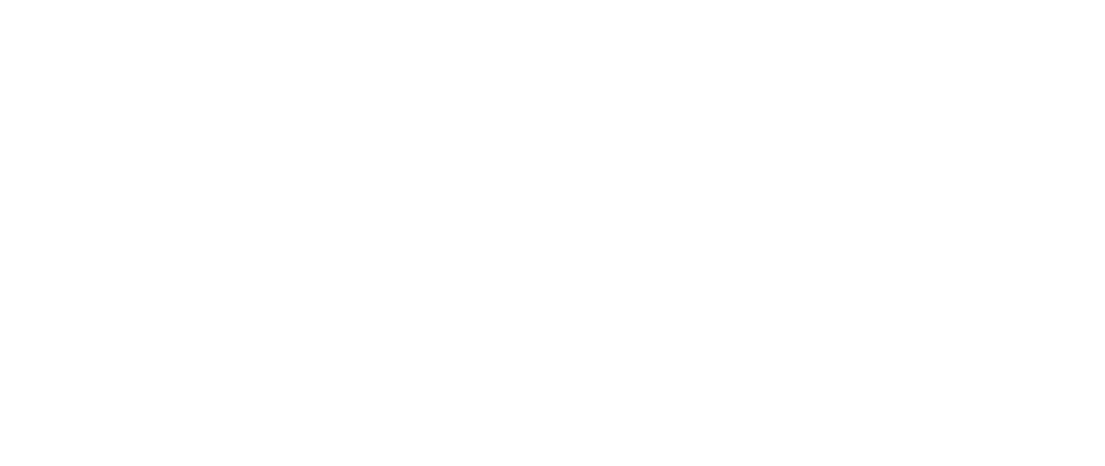 Control Union Logo
